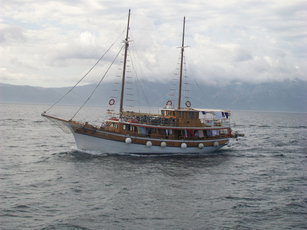 Ferry to Sucuraj景点图片