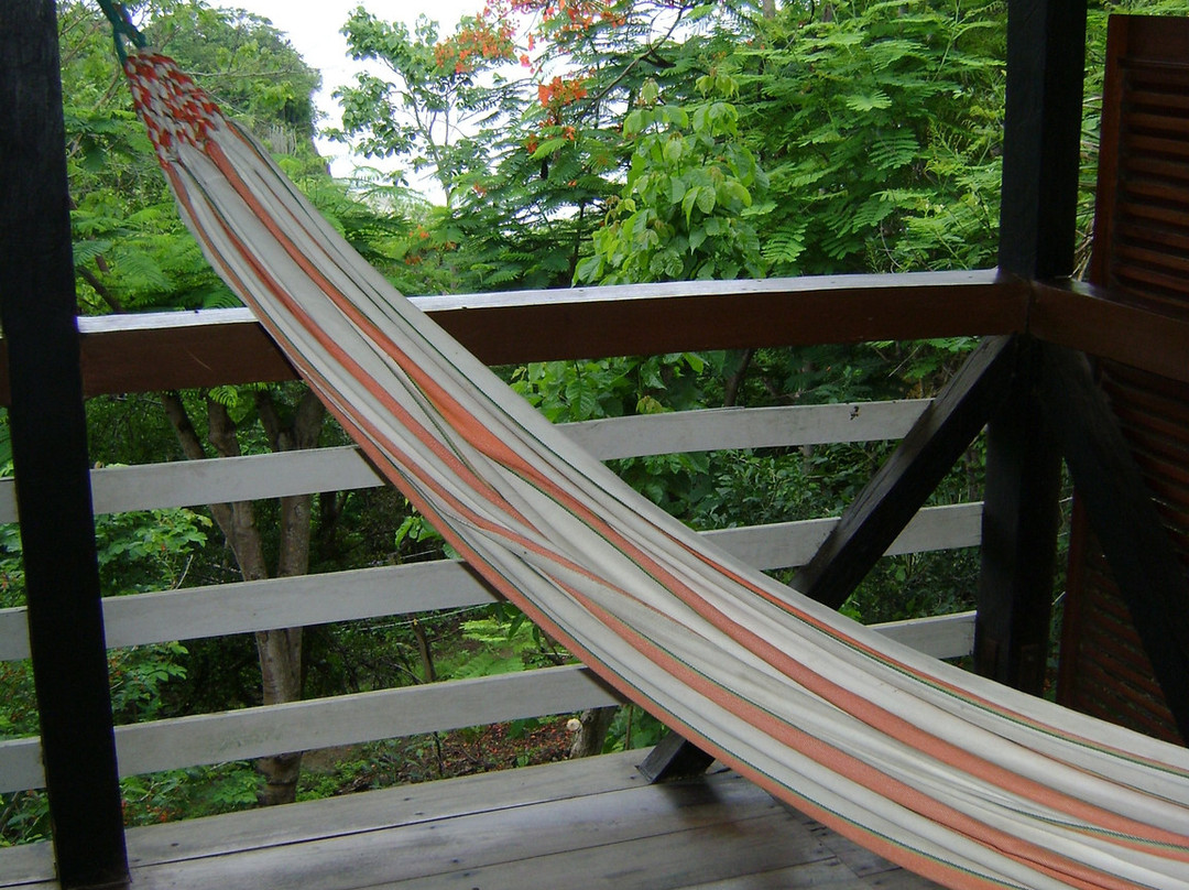 Punta Prieta Guest House主图