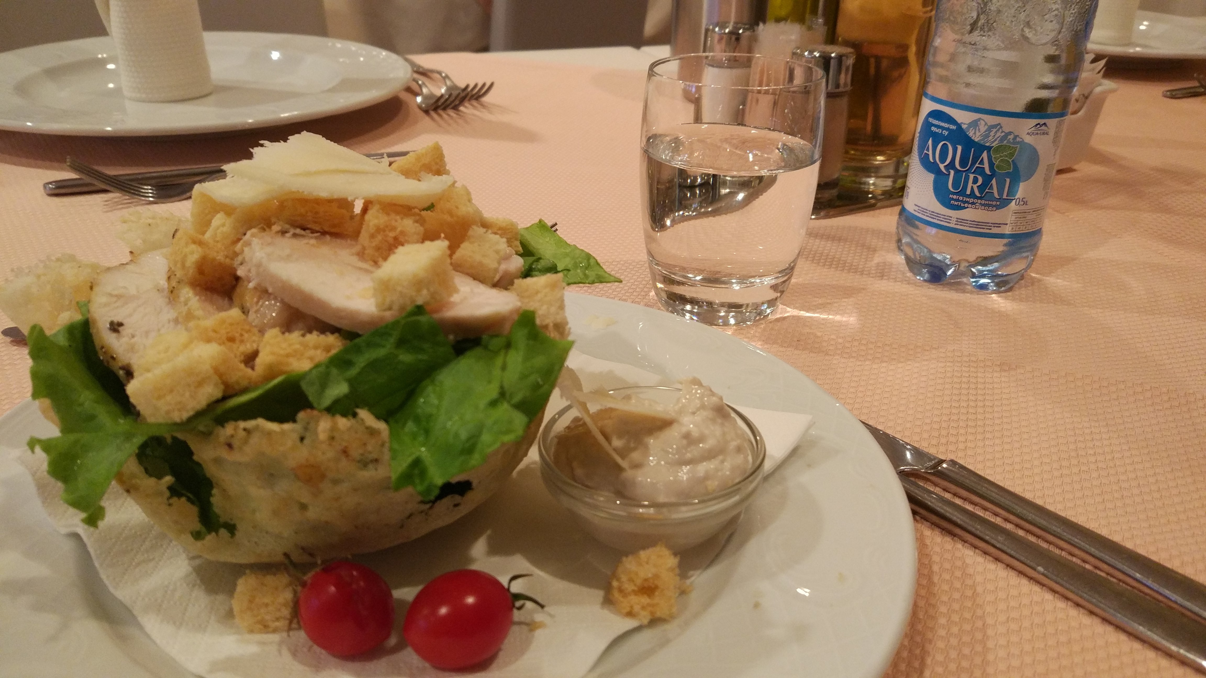 Pushkin Hotel-餐饮