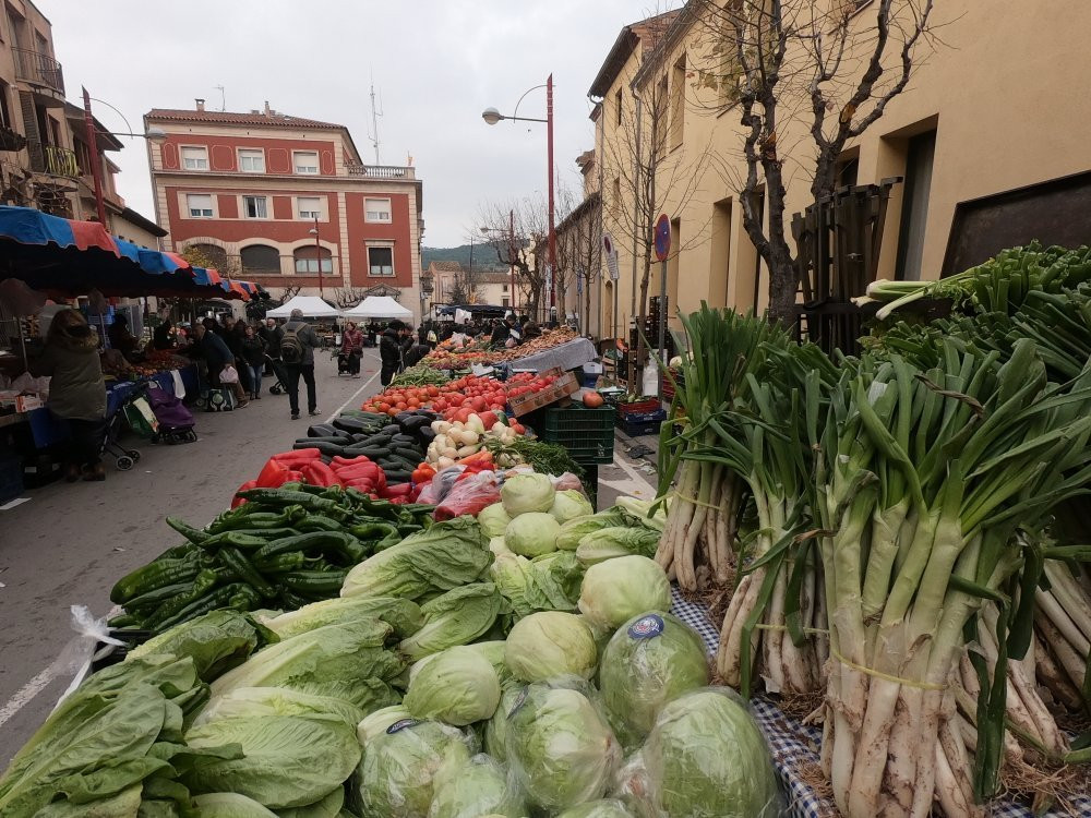 Saturday Market La Garriga景点图片