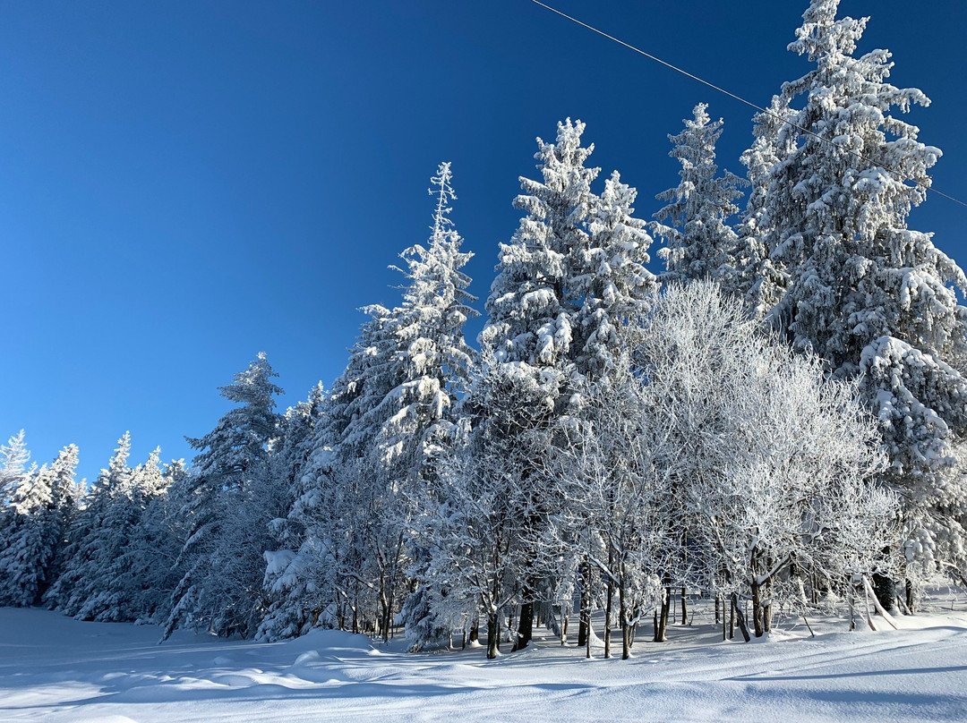 Gliczarow Gorny酒店住宿-Willa u Steni