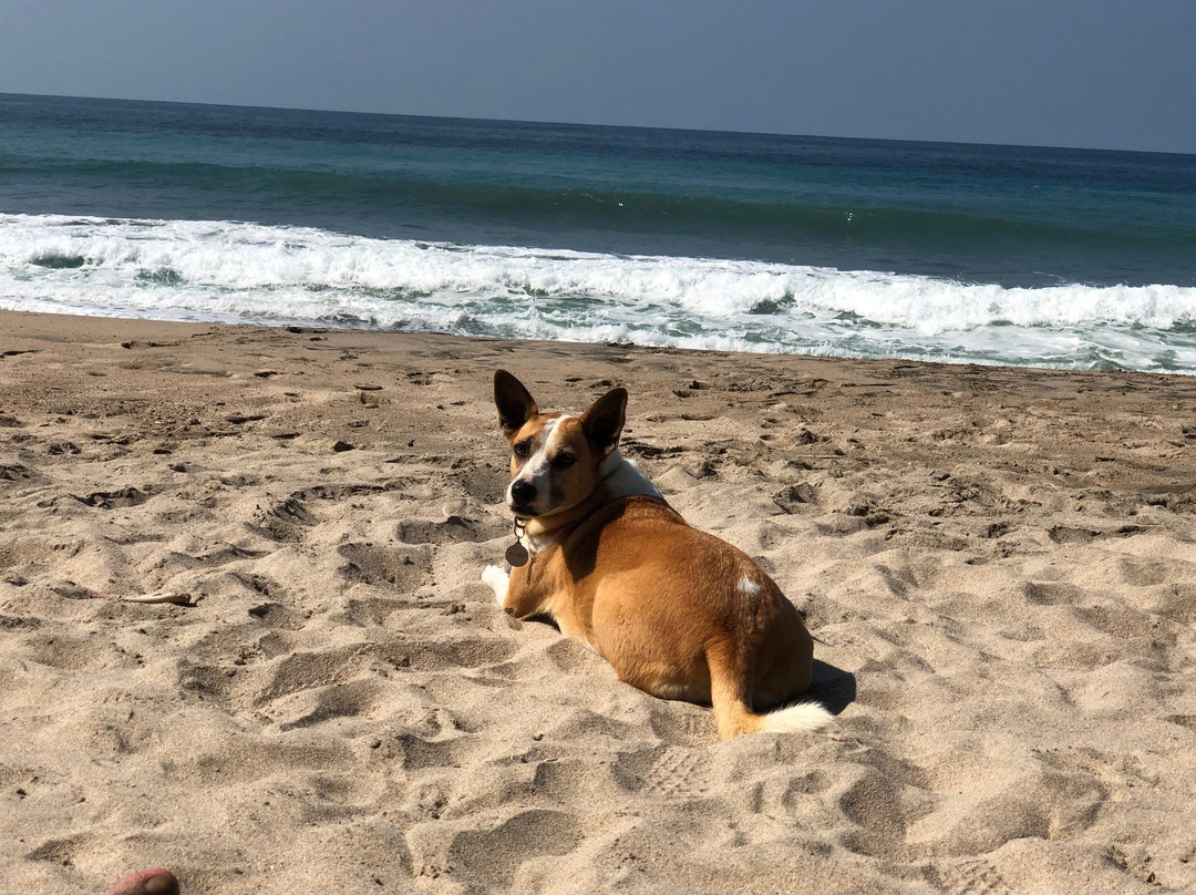 Hacienda de la Costa主图