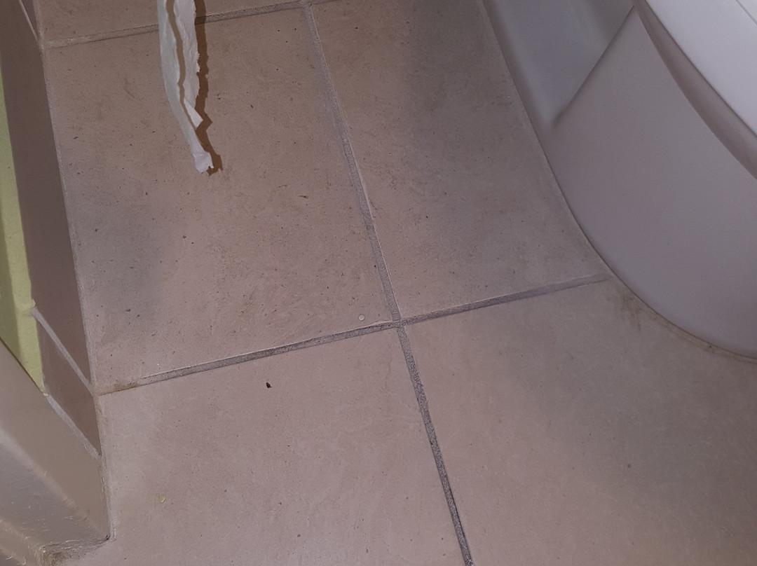 贝斯特韦斯特海道酒店主图