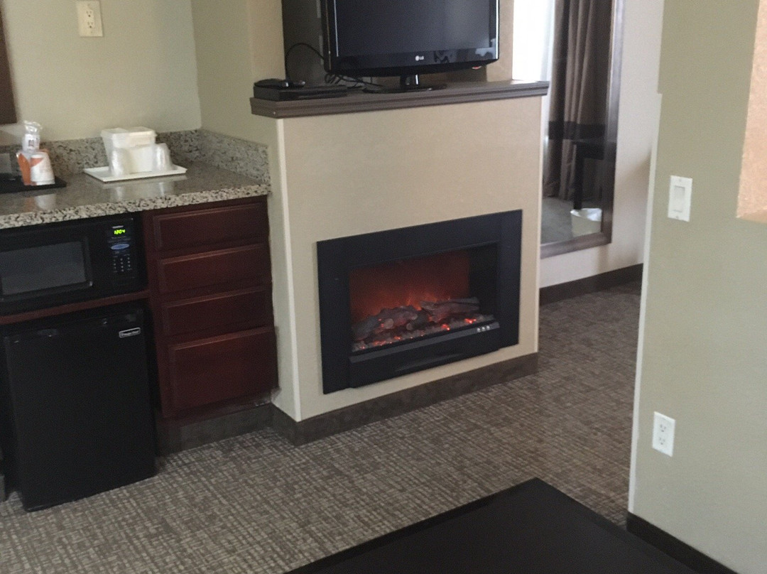 Comfort Inn & Suites Allen Park - Dearborn主图