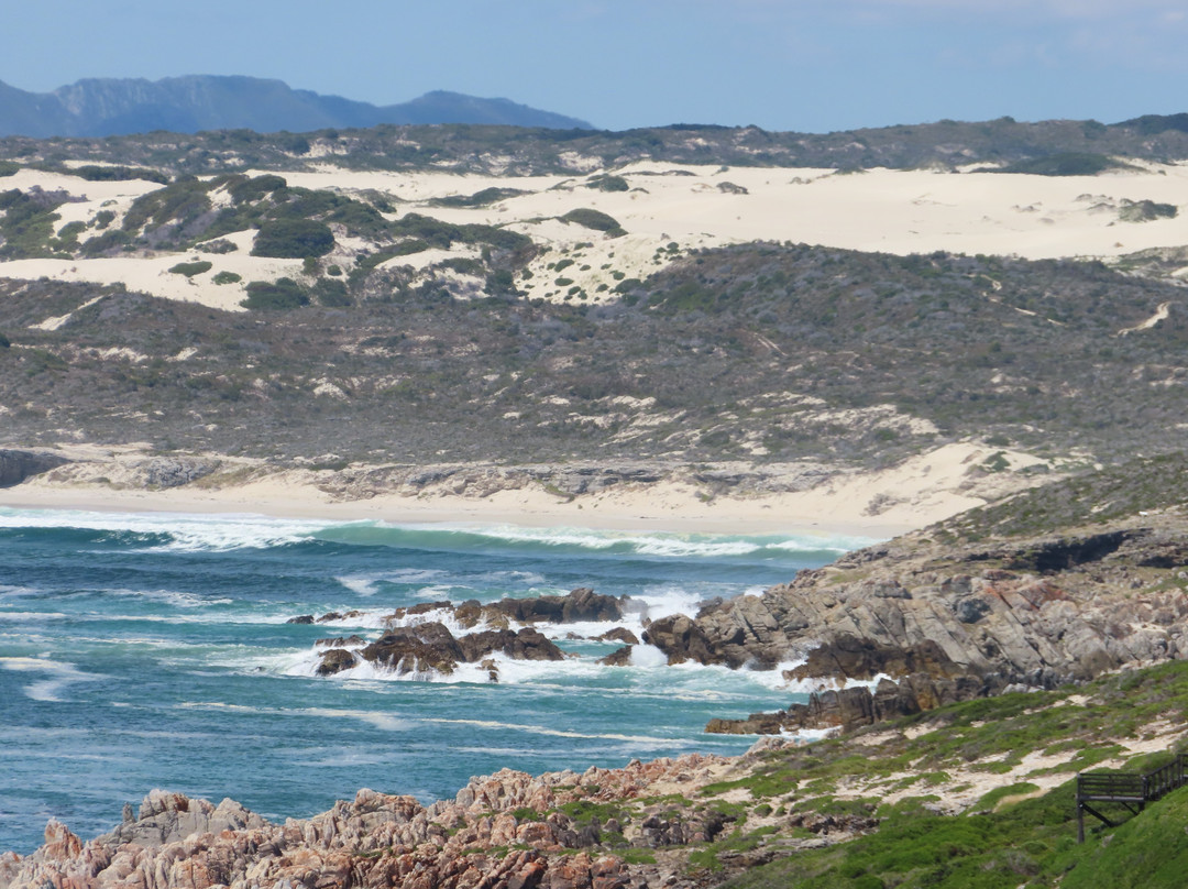 Sea Star Cliff主图