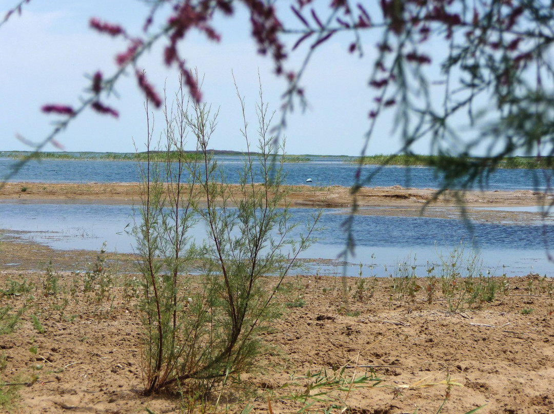 Lake Tuzkan-Jizzakh Province必去景点