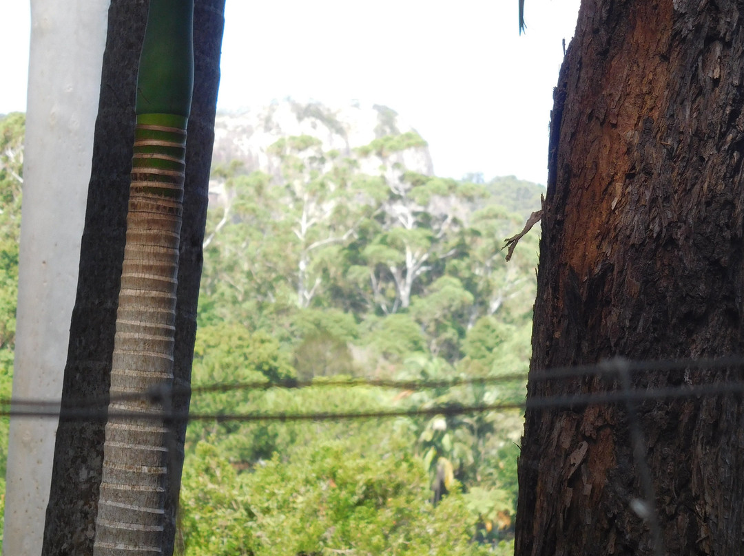 Mount Tinbeerwah-努沙必去景点