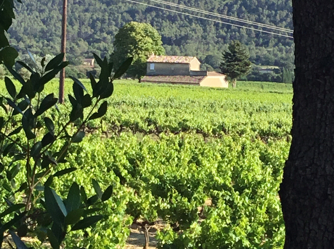 Provence by Flore景点图片