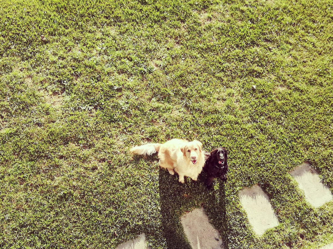 Quinta Pedras de Baixo主图