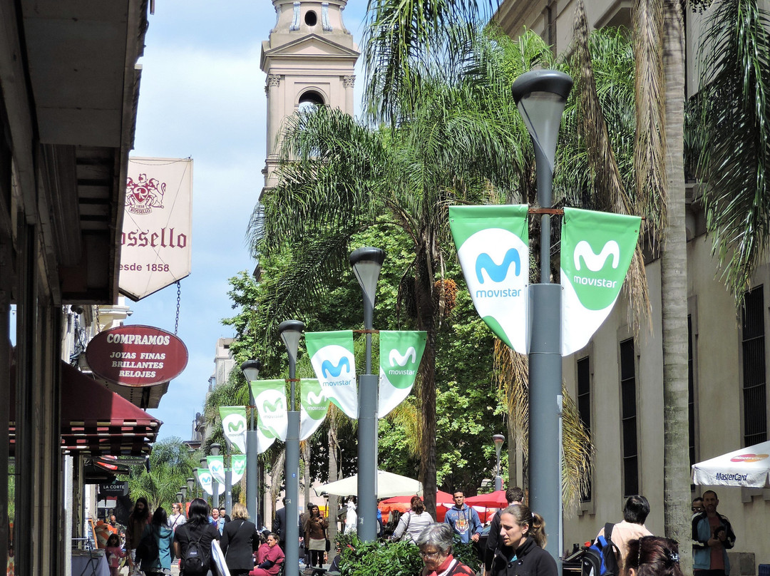 Plaza Matriz-蒙得维的亚必去景点