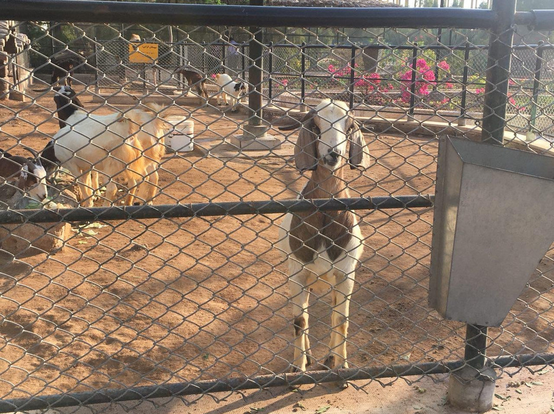 Flamingo Hotel主图