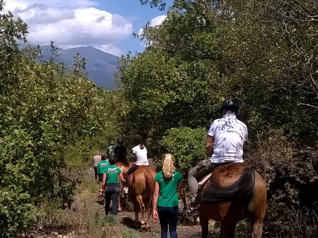 Centro Volteggio ed Equitazione Sole dell'Etna-Belpasso必去景点
