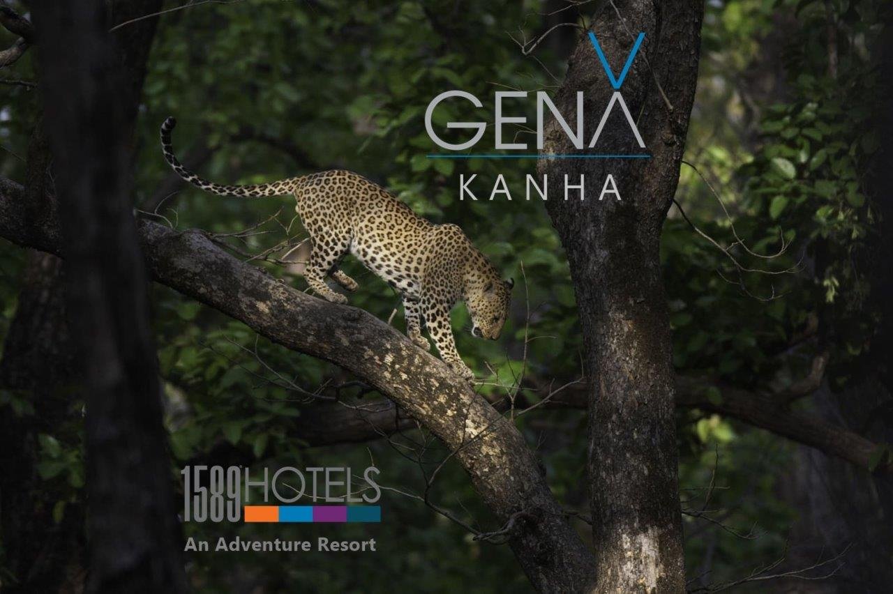 GenX Kanha by 1589 Hotels-官方