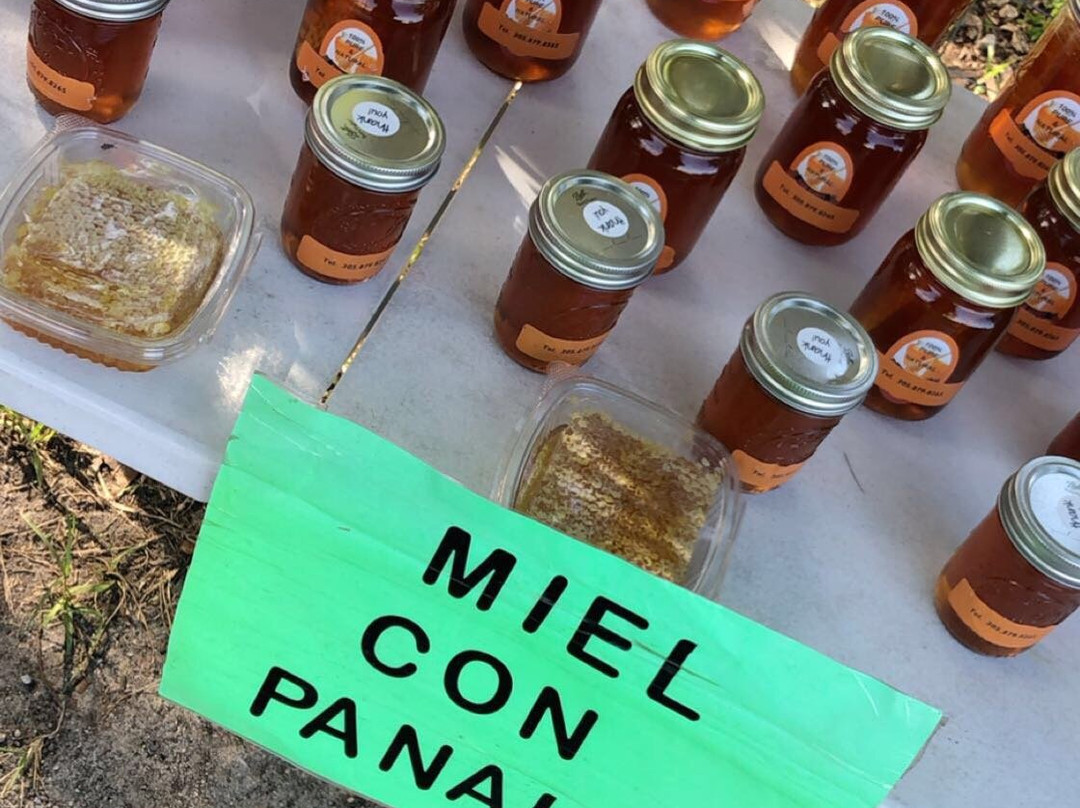 2024年2月Glaser Organic Farms景点攻略Glaser Organic Farms门票预订地址图片Glaser