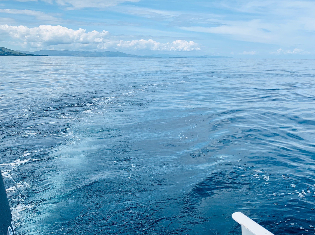 瓦卡瓦湾-奥克兰中心地区必去景点