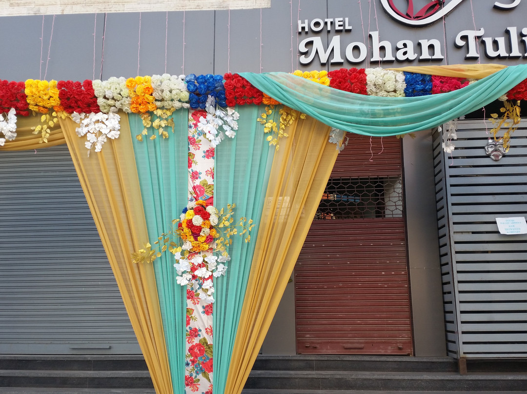 Mohan Tulip Hotel主图