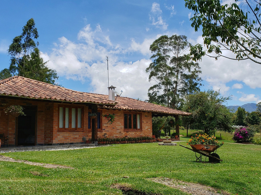 Finca Avocado
