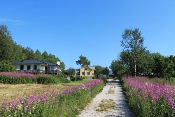 Sjavik Vacation主图