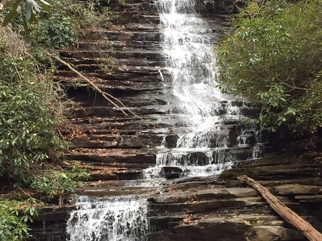 Angel Falls Trail景点图片