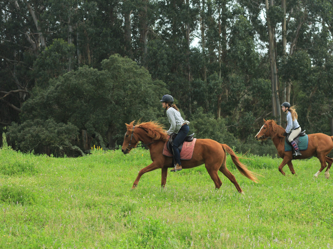 NaturaHorses-Vila Nova de Milfontes必去景点