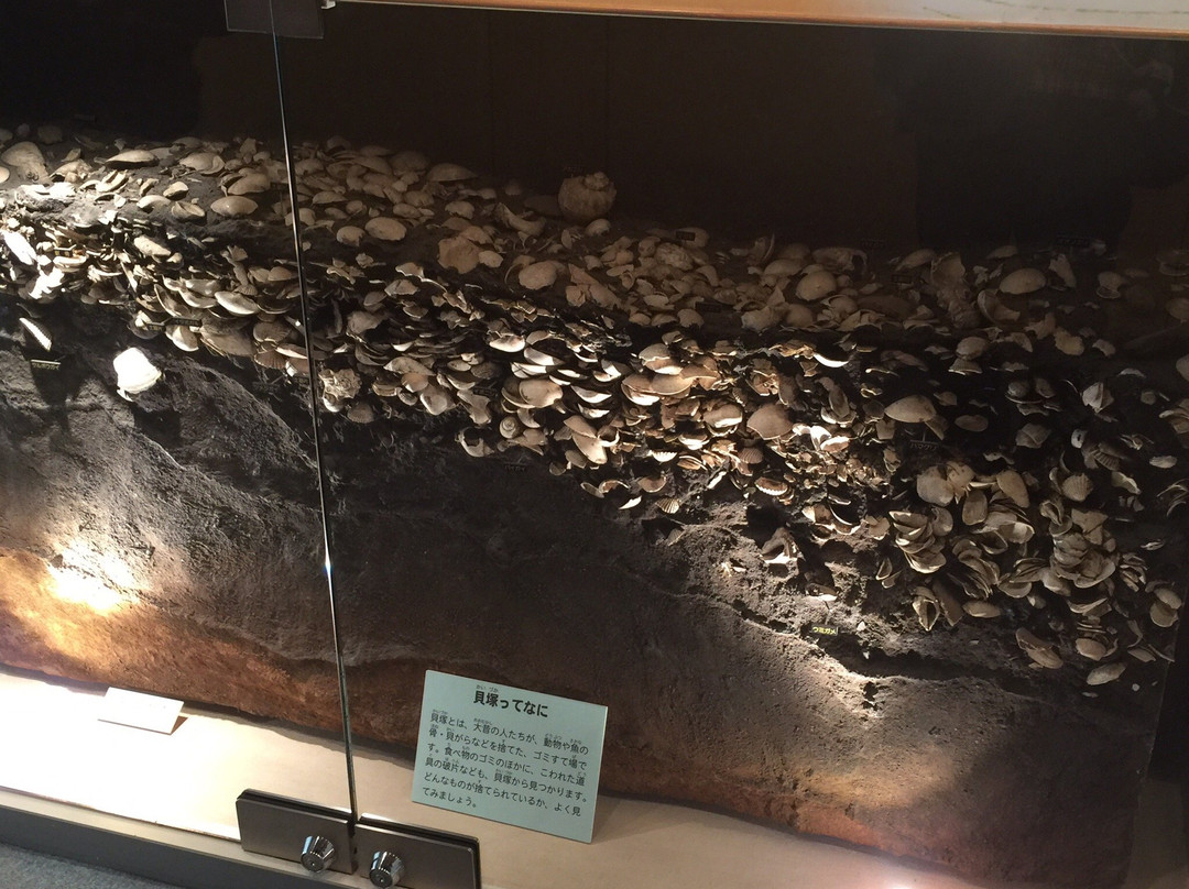 品川历史馆-品川区必去景点