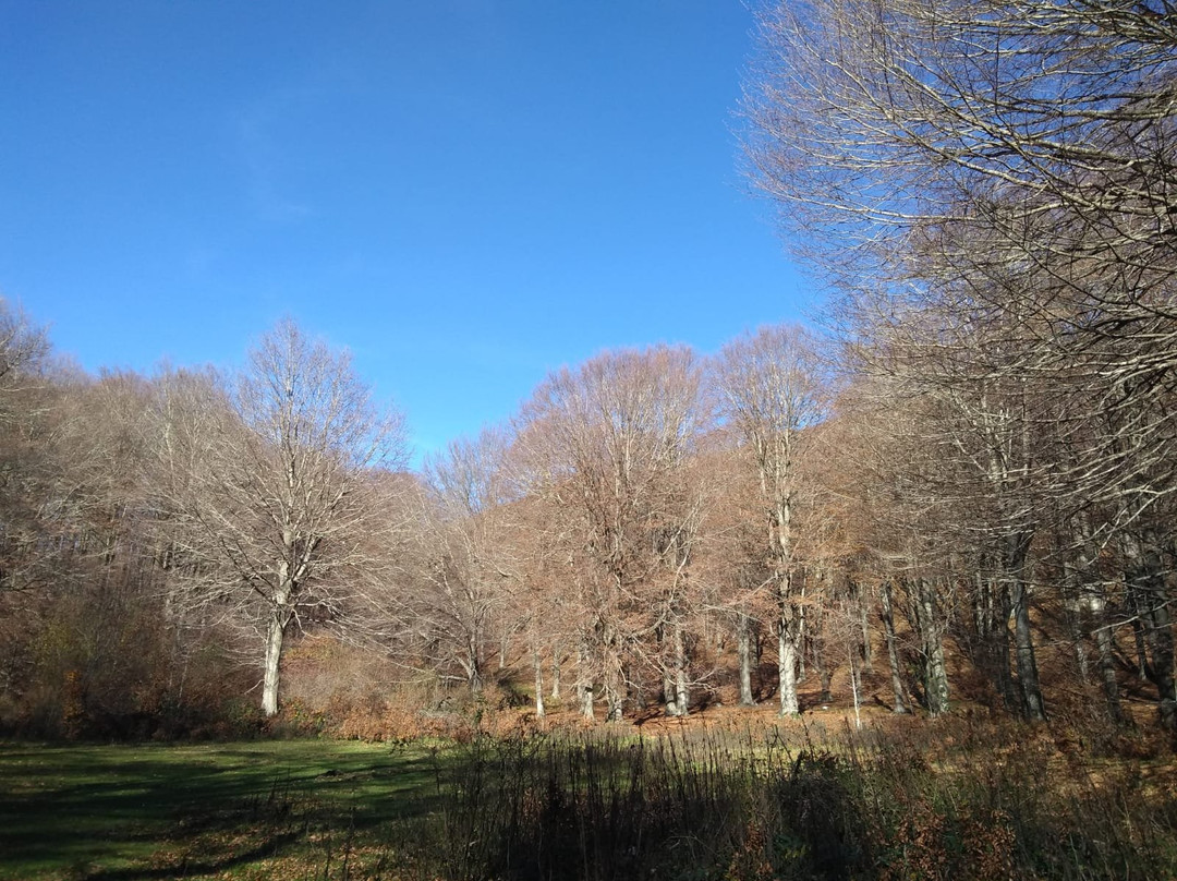 Parco Regionale del Matese景点图片
