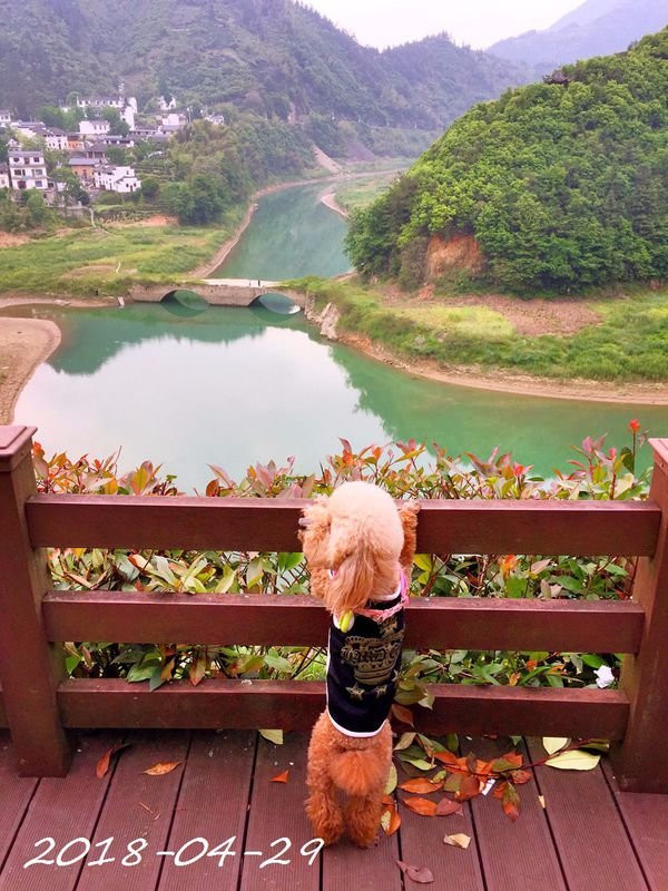 黄山丰乐湖风景区-黄山市必去景点