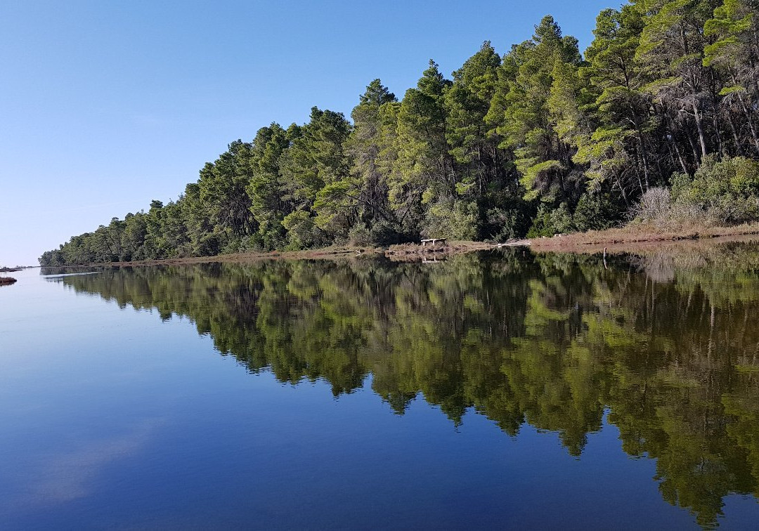 Divjake旅游攻略图片