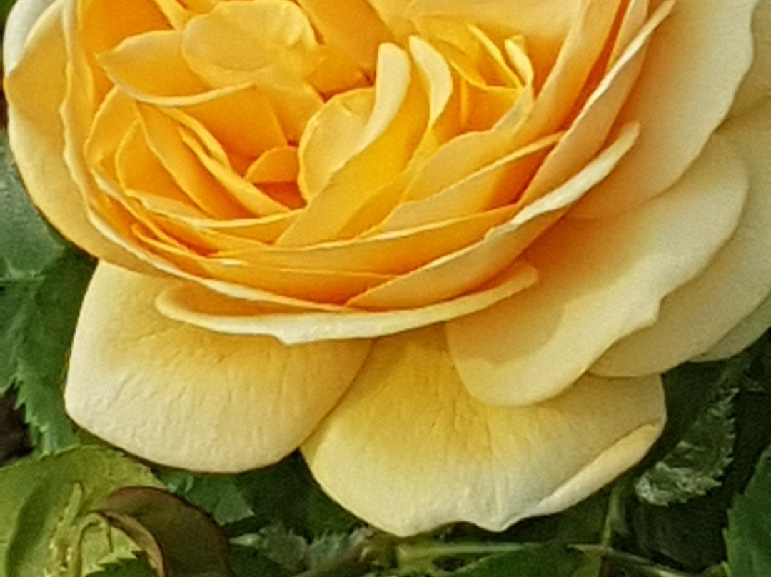 Bruntwood Lodge主图