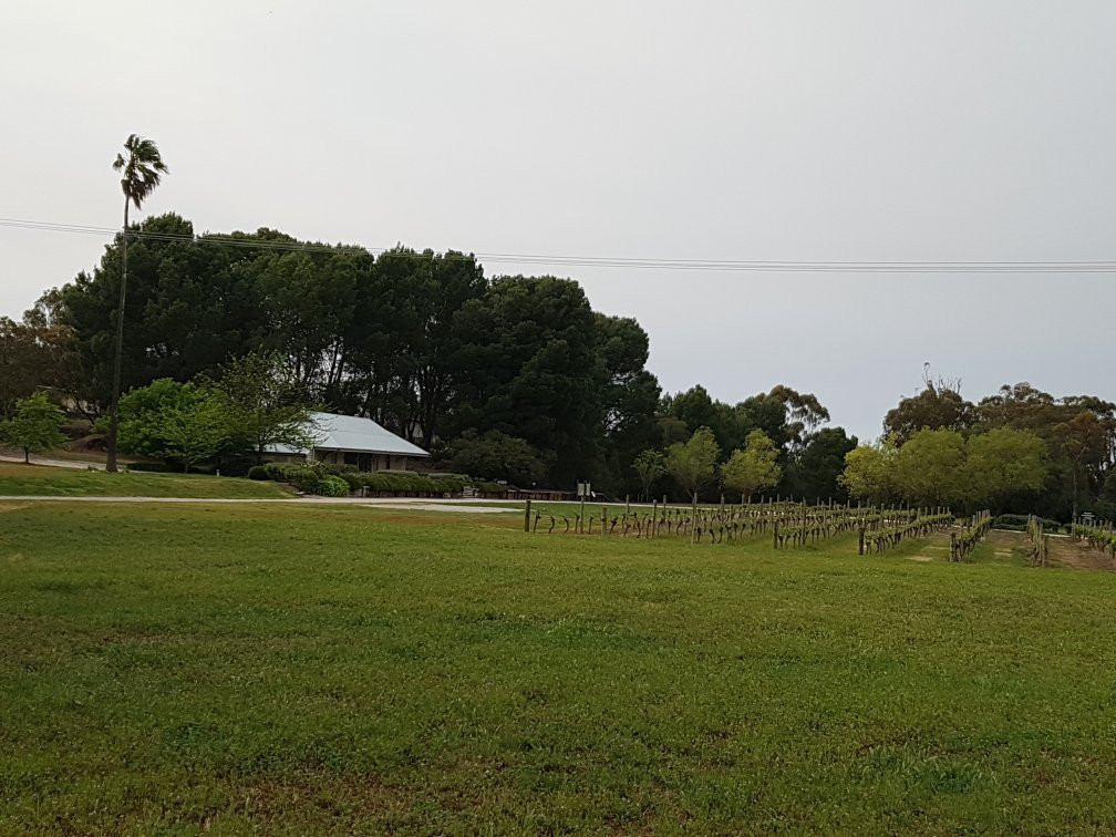 Mount Horrocks Wines景点图片