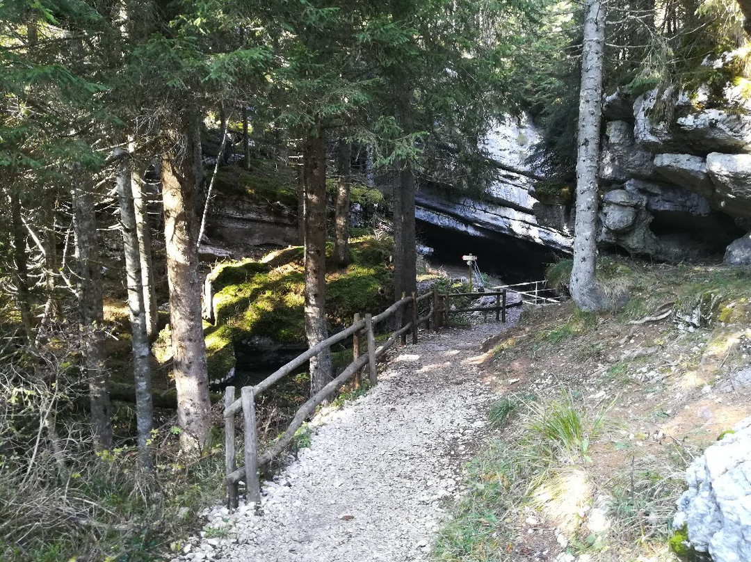 Caverna del Sciason (o Sieson)景点图片