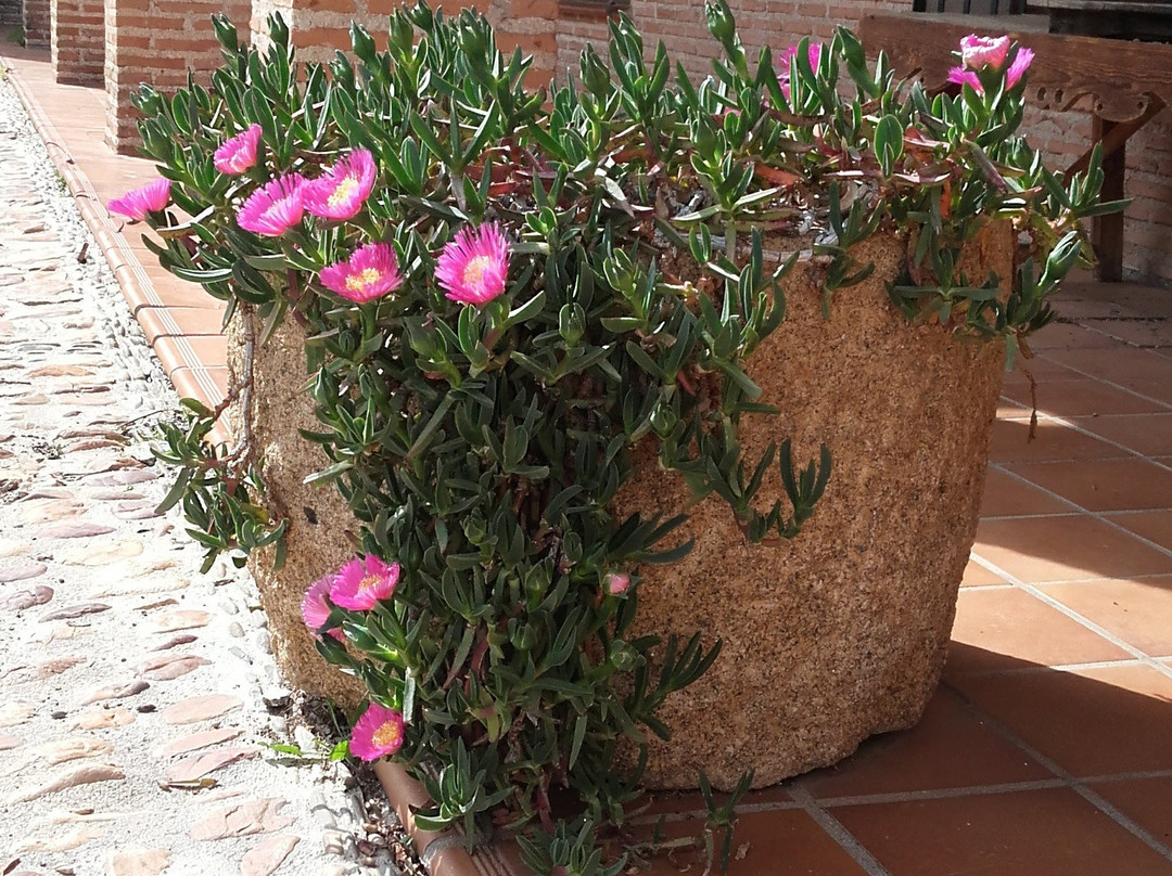 Casa Rural La Era主图