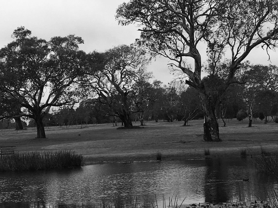 Dunkeld Arboretum-Dunkeld必去景点
