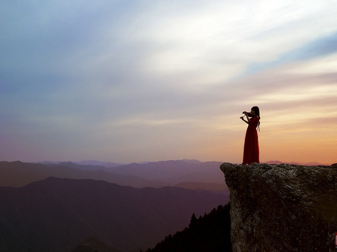 Oishi Highland-纪美野町必去景点