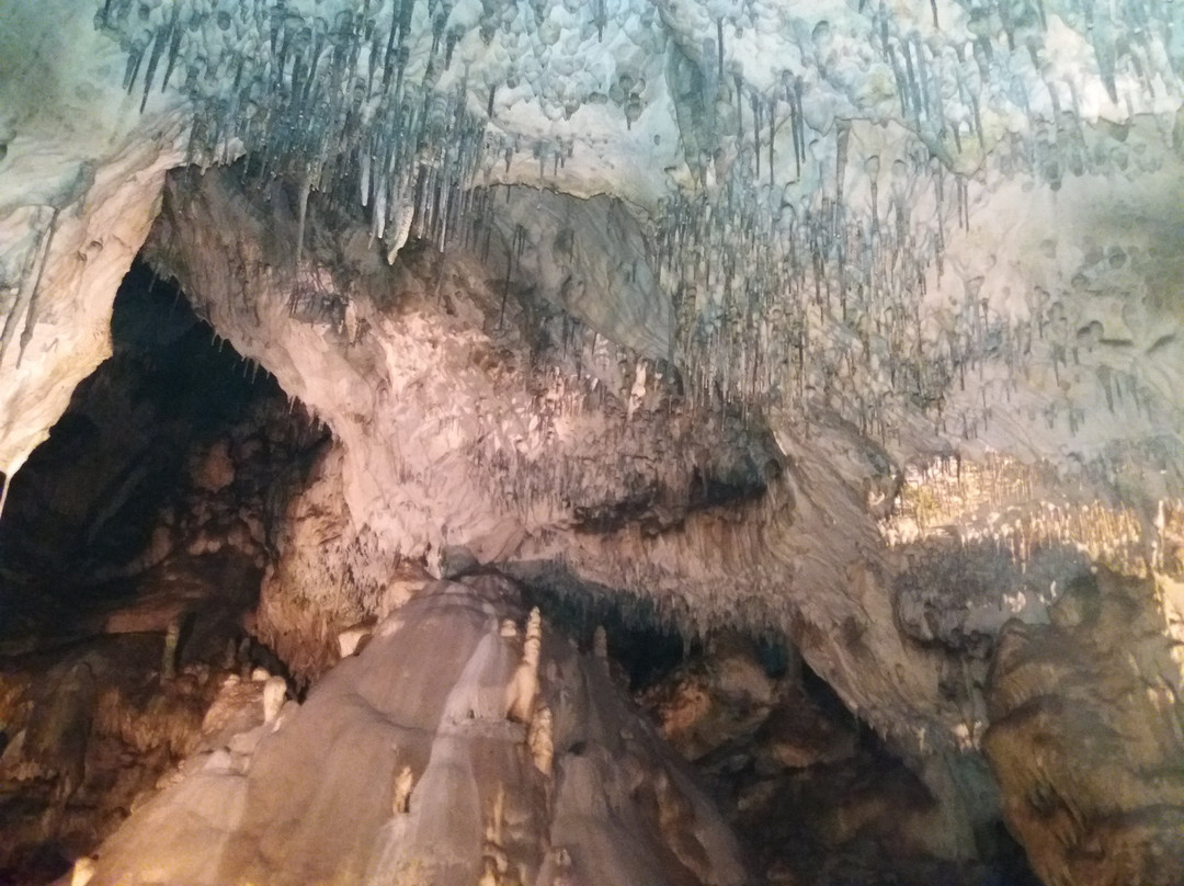 Sloupsko-Sosuvske Cave-Sloup必去景点