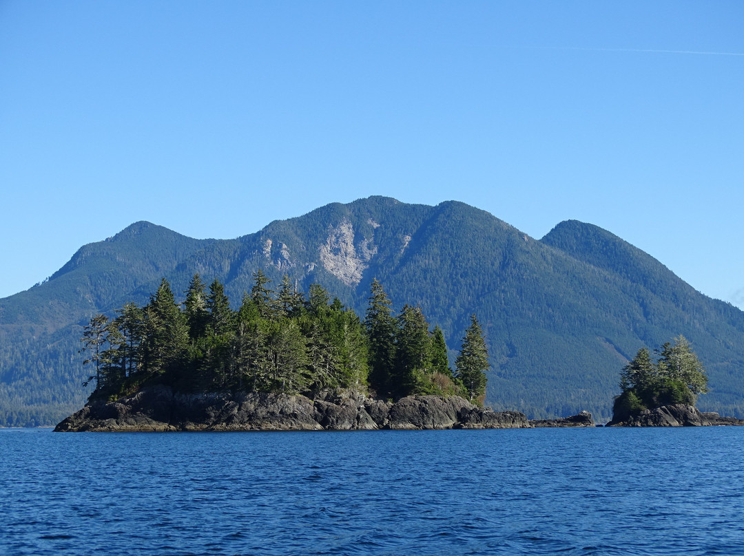 Clayoquot Wild景点图片