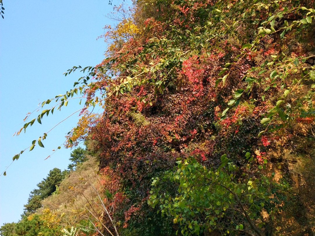 云蒙山国家森林公园-北京市必去景点