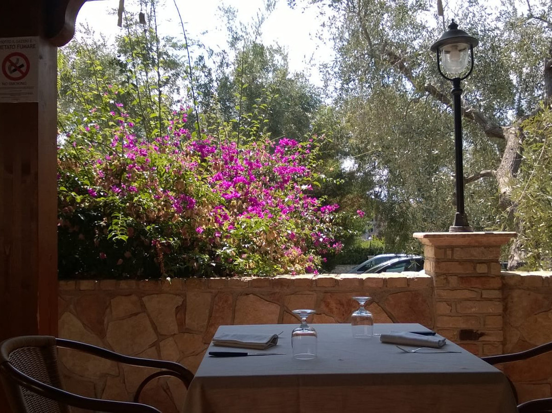 Albergo Il Giardino主图