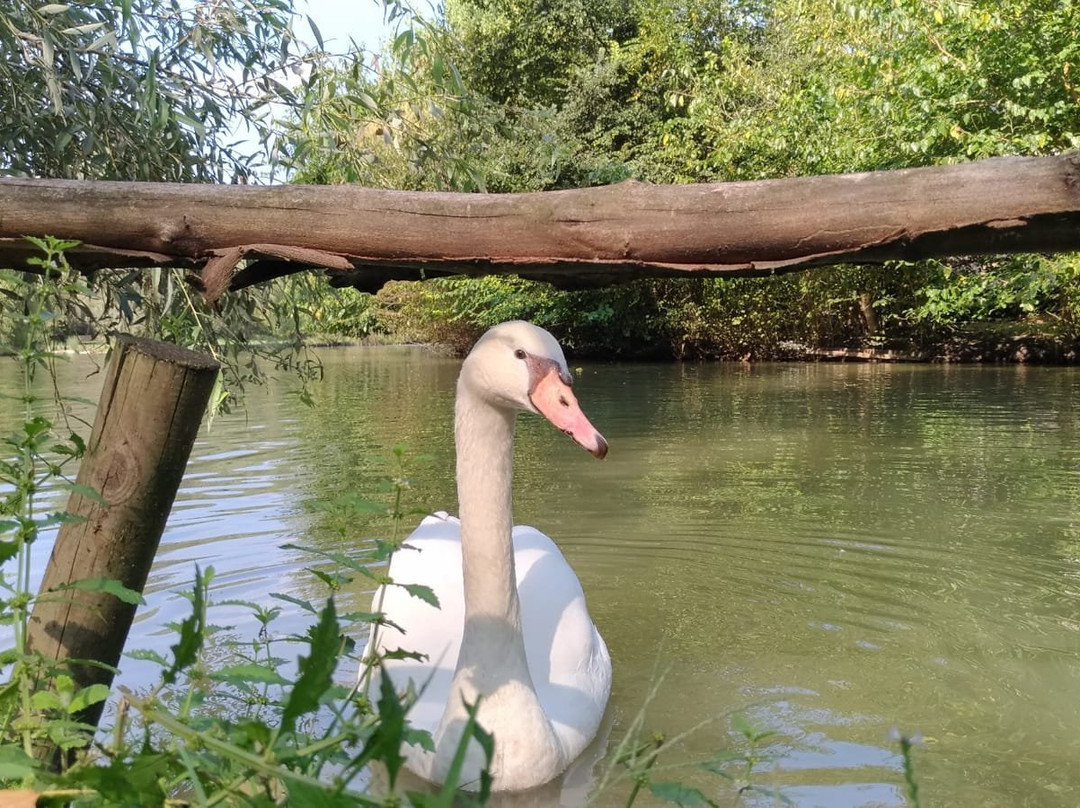 Parco Valle del Menago景点图片