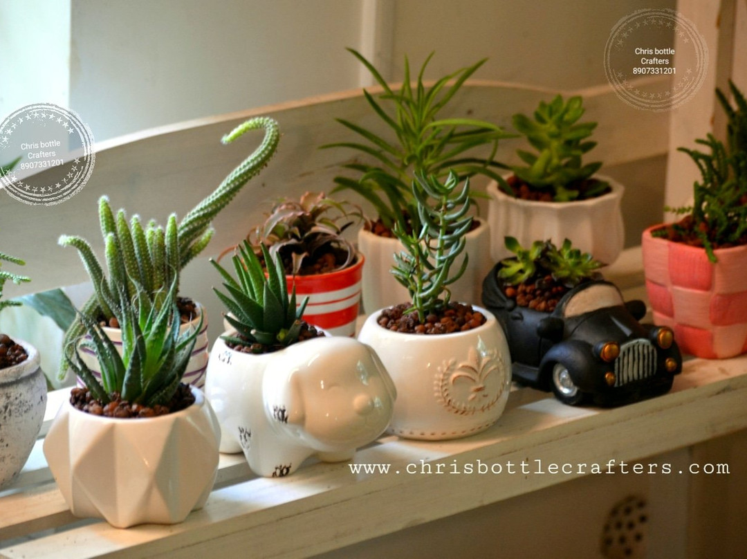 Chris Bottle Crafters Indoor Home Garden景点图片