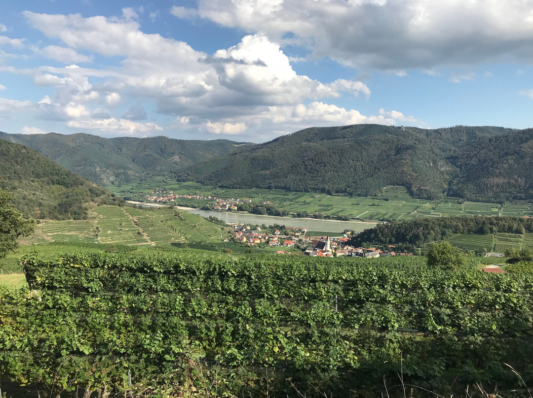 Segway Wachau-施皮茨必去景点
