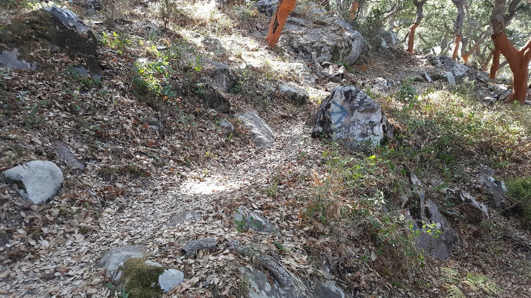 Sendero La Garganta del Capitan景点图片