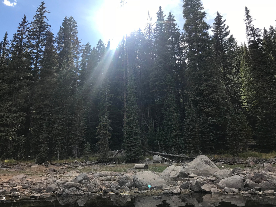Grand Mesa National Forest-Collbran必去景点