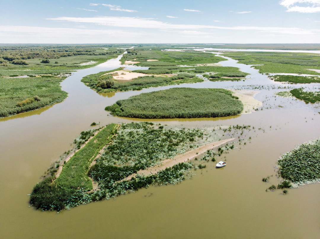 Fish Factory Hotel主图