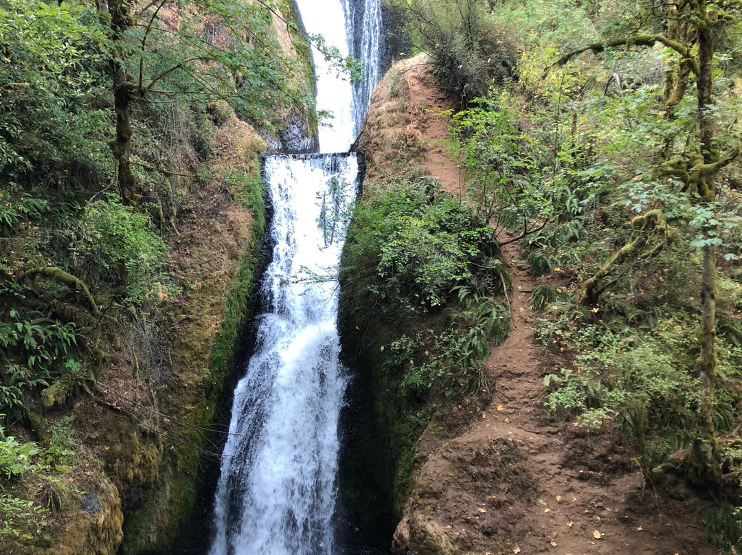 Endless Oregon Tours-波特兰必去景点