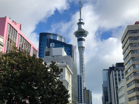 Aucky Walky Tours-奥克兰中心地区必去景点