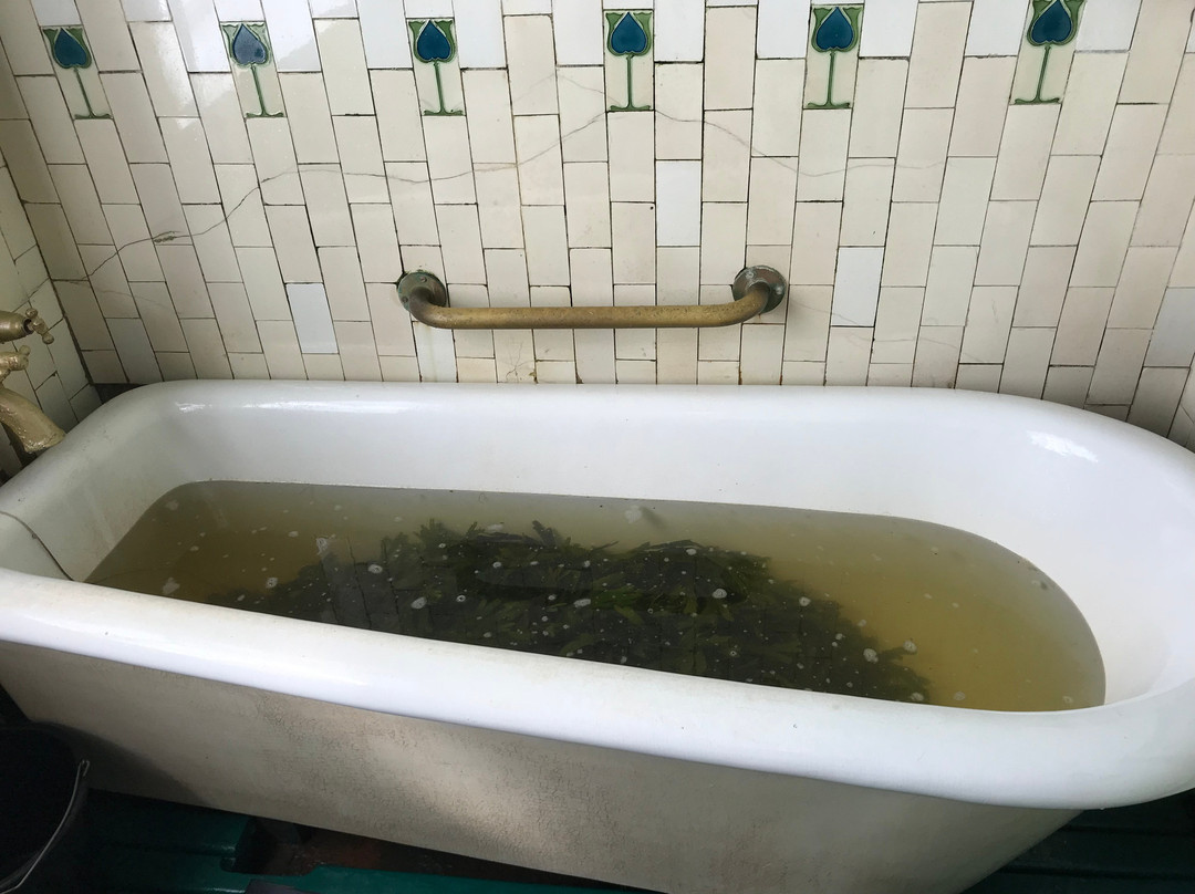Kilcullen's Seaweed Baths景点图片