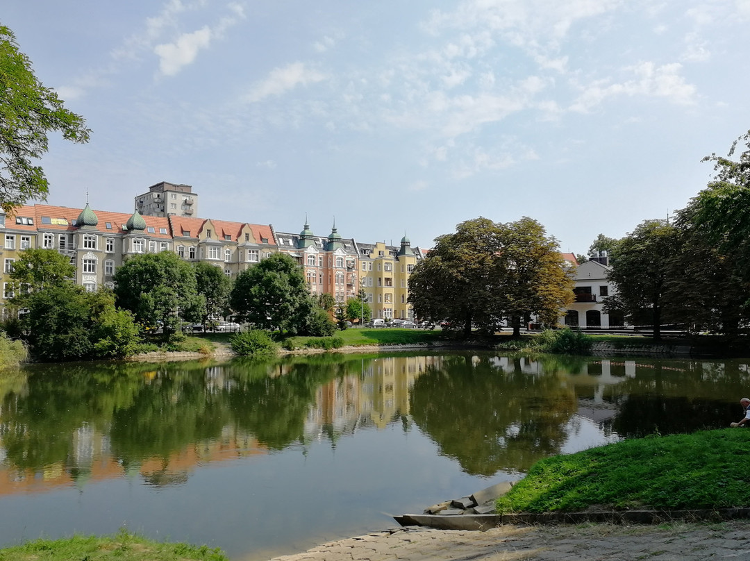 Park Kasprowicza景点图片