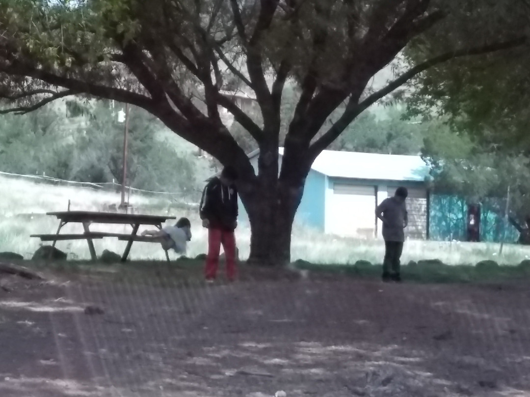 Forks Campground