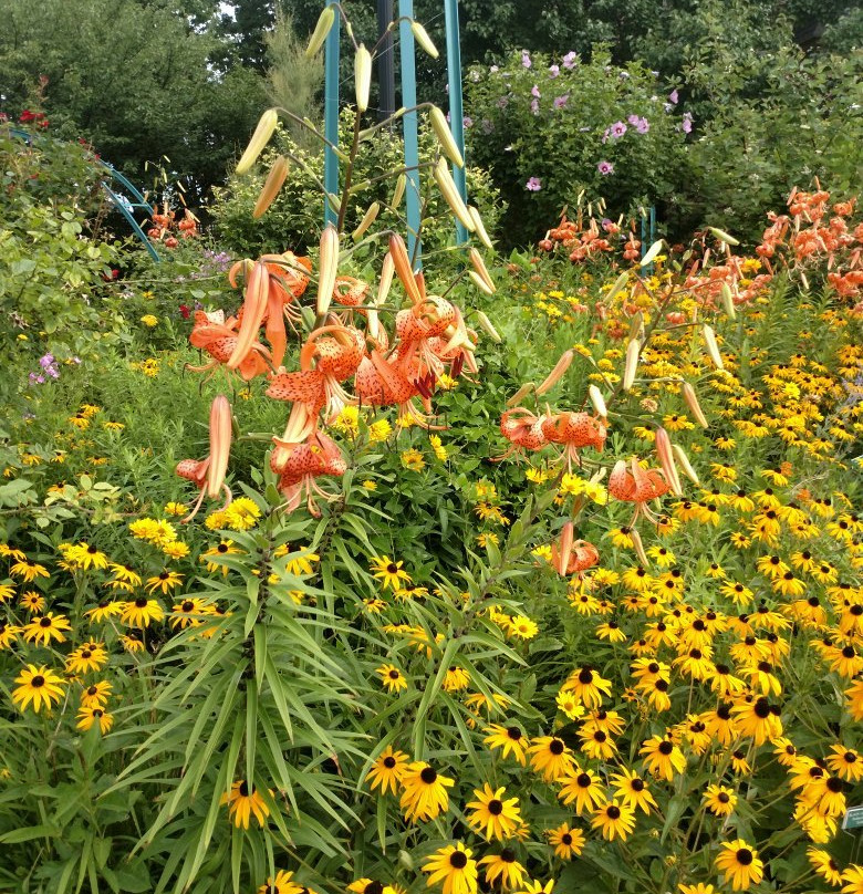 The Monet Garden of Muskegon景点图片